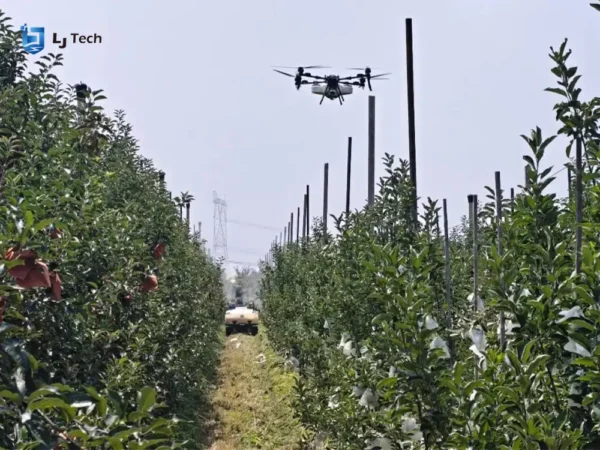 Tracked orchard robot demonstration at hilly apple orchard in Shandong, China